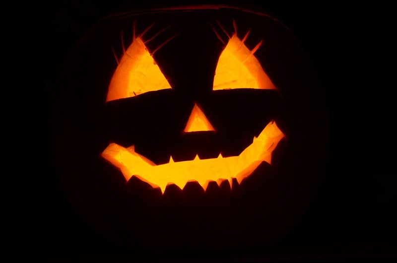 webandi-pumpkin-2892303